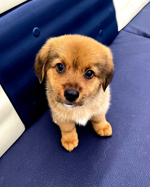 daxbin instagram image archive image