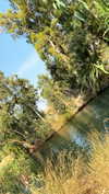 nicole_ac Altpins Profile Picture