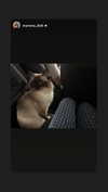 leni.bahr Altpins Profile Picture