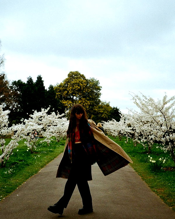 ccbaum instagram image archive image