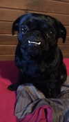 babynympho_archive Altpins Profile Picture