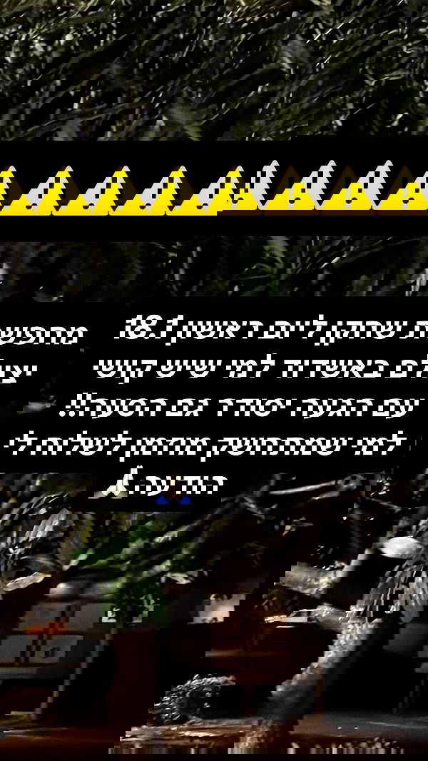 laluzone laluzone archive image