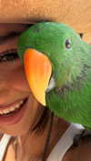 efrat_elmalich Altpins Profile Picture