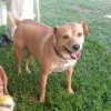 maori_cohen Altpins Profile Picture