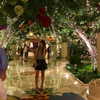 roni.benshushan Altpins Profile Picture