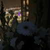 shibuyagrimreaper Altpins Profile Picture