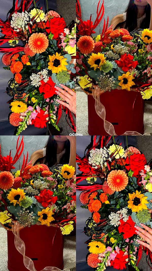 tsarbayeva instagram image archive image