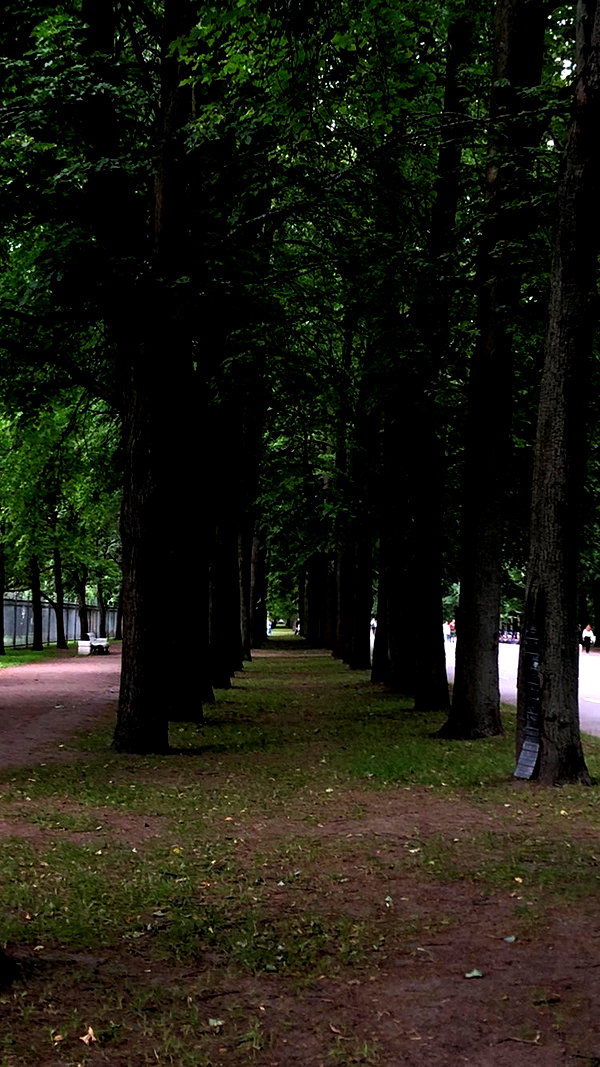 miikheeva_stasiiya instagram image archive image