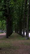 miikheeva_stasiiya Altpins Profile Picture