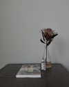yemada Altpins Profile Picture