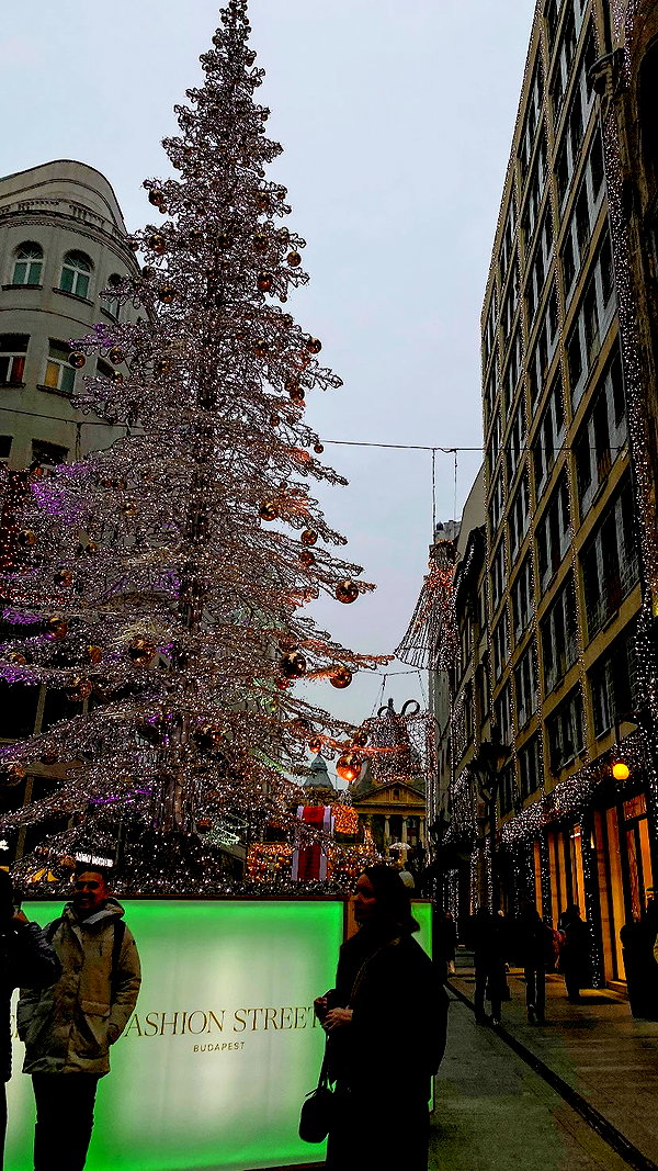shanidahan7 instagram image archive image
