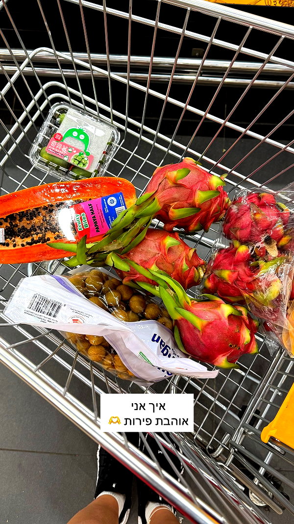 lital.oss instagram image archive image