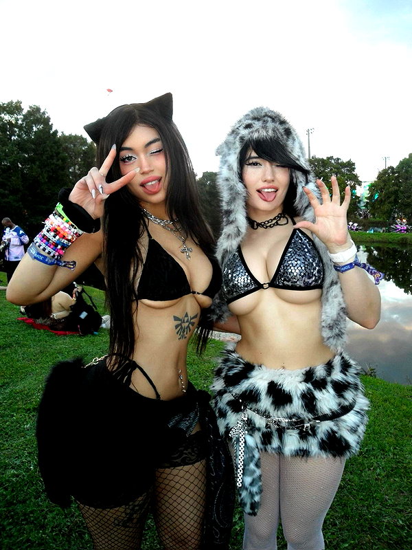rinnibunny rinnibunny archive image