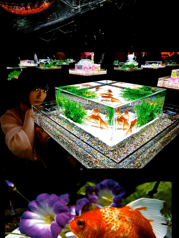 _satomort_ instagram image archive image