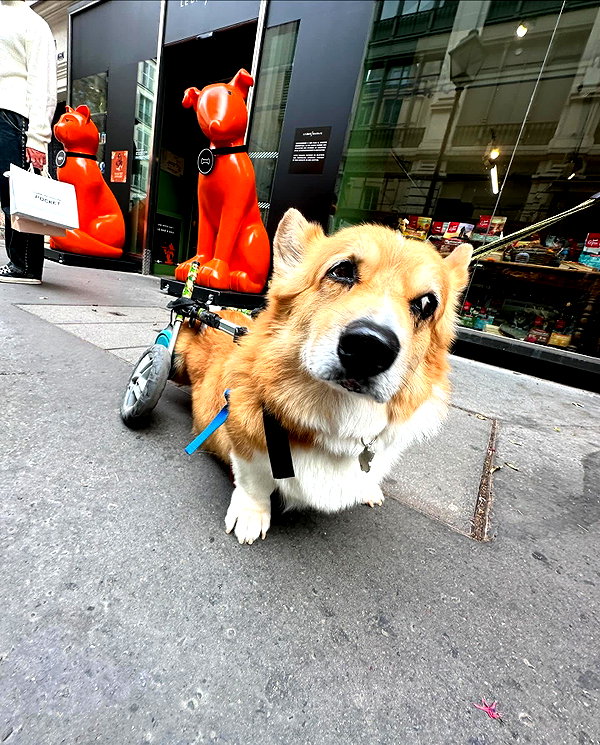 maya.keyy instagram image archive image