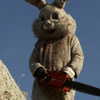 alice_hez Altpins Profile Picture
