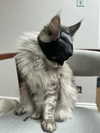 777pb_ Altpins Profile Picture