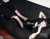 amberxswain Altpins Profile Picture