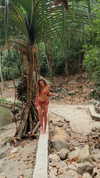 ariana_vomi Altpins Profile Picture