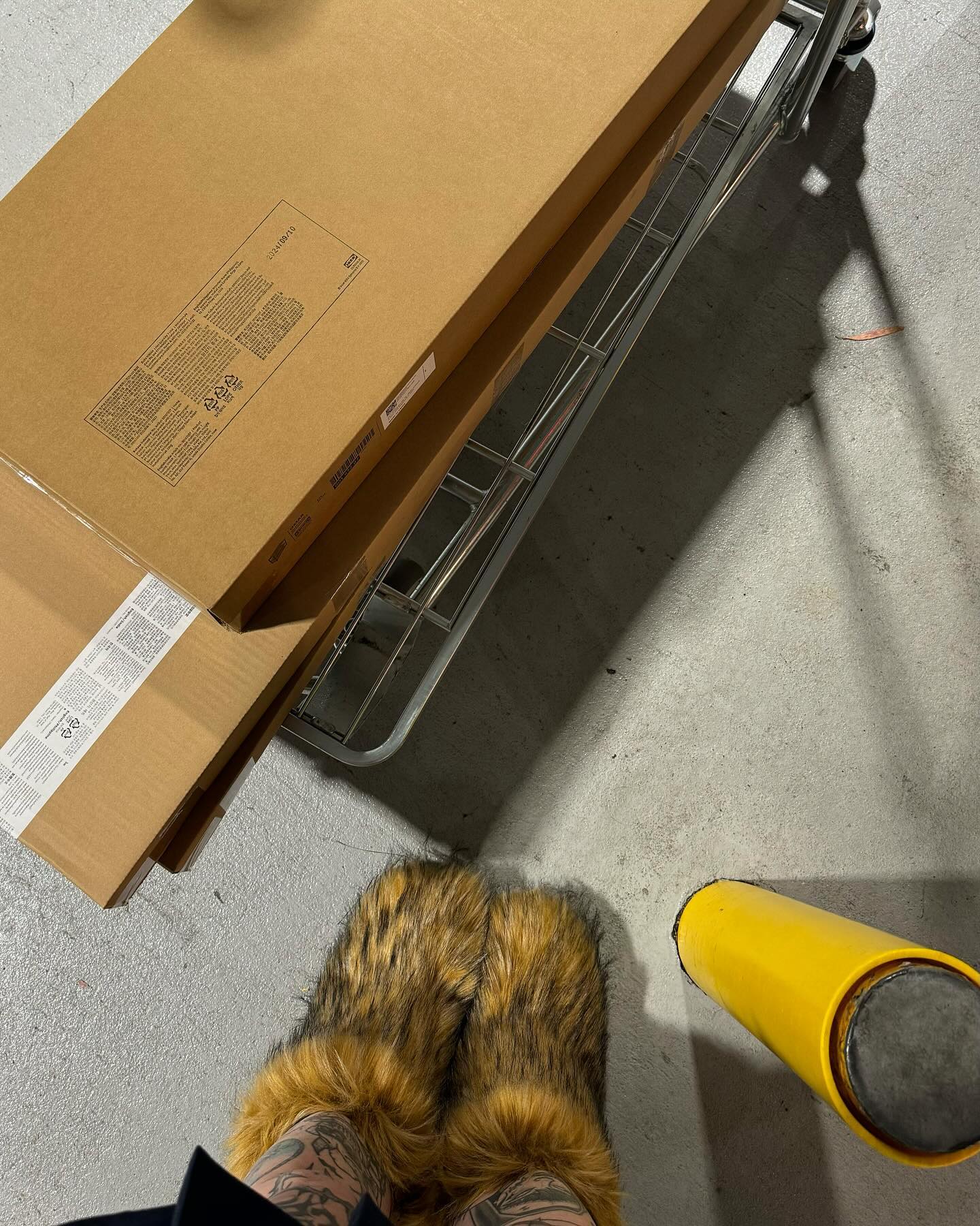 jtilb2 instagram image archive image