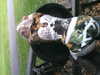 ash.onme Altpins Profile Picture