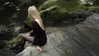 vvelum_ Altpins Profile Picture