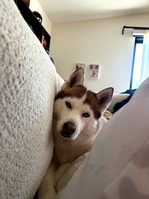 gabimfmoura instagram image archive image