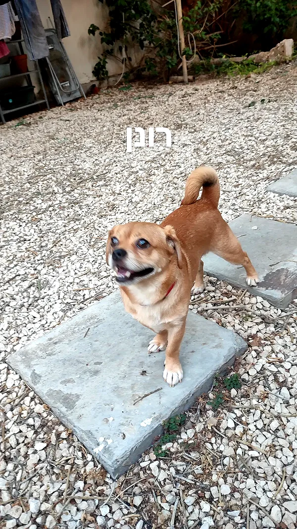 alma.almog instagram image archive image