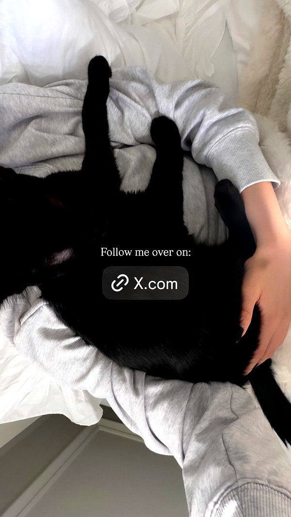 jessie.ra3 instagram image archive image