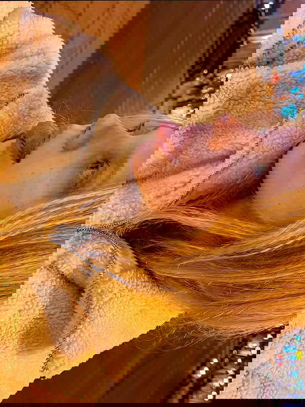 sofykil sofykil archive image