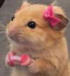 lilih Altpins Profile Picture