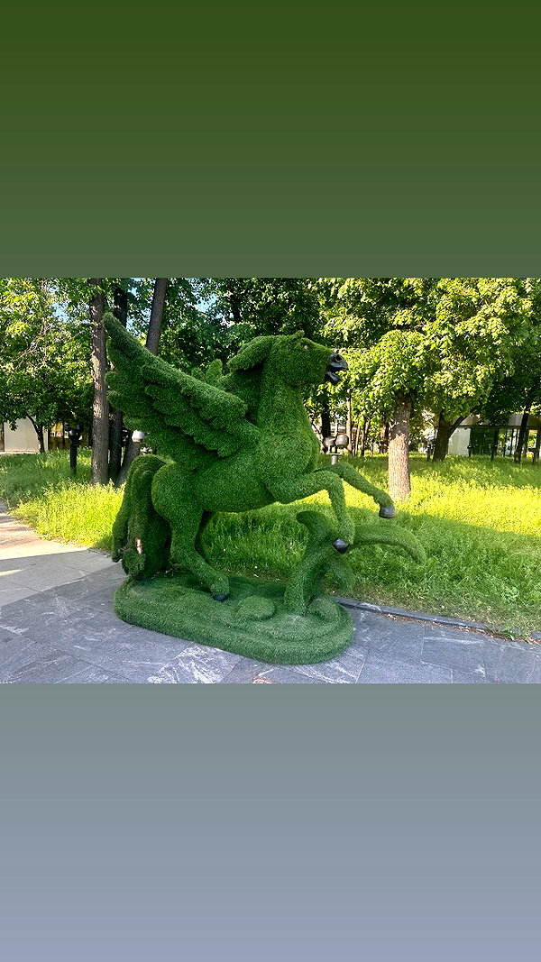 forestowwwl instagram image archive image