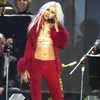 xtina Altpins Profile Picture