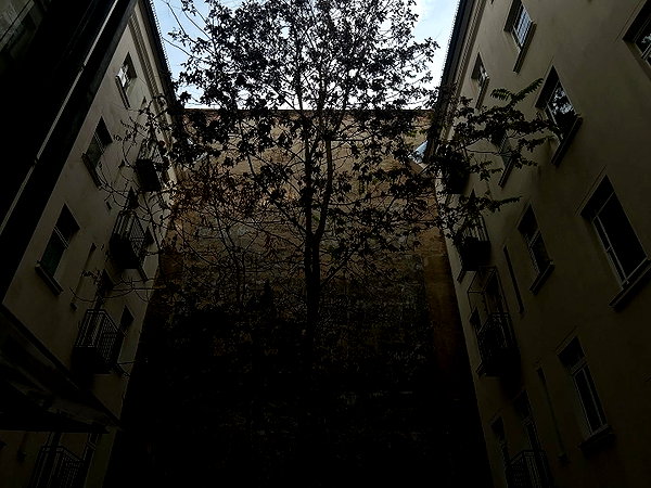 anesa.zm instagram image archive image