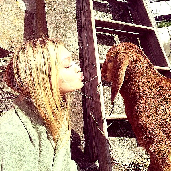 gigihadid instagram image archive image