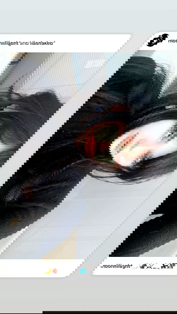 liashaked liashaked archive image