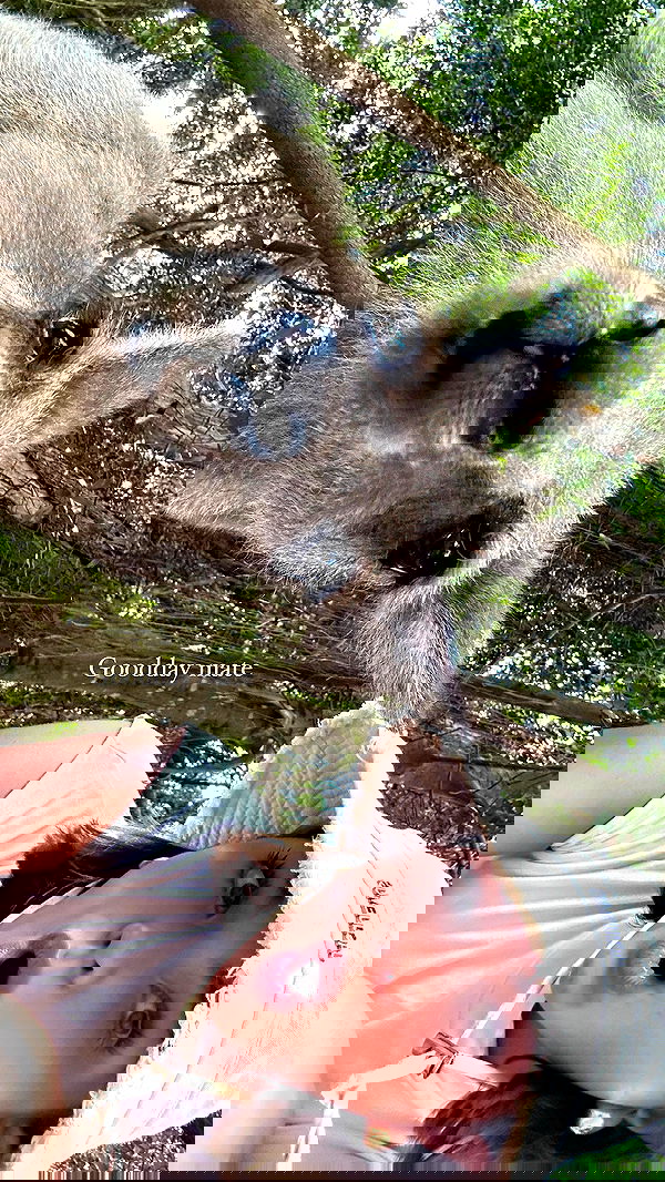 taylor.creeden taylor.creeden archive image