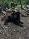 gissell_eli Altpins Profile Picture