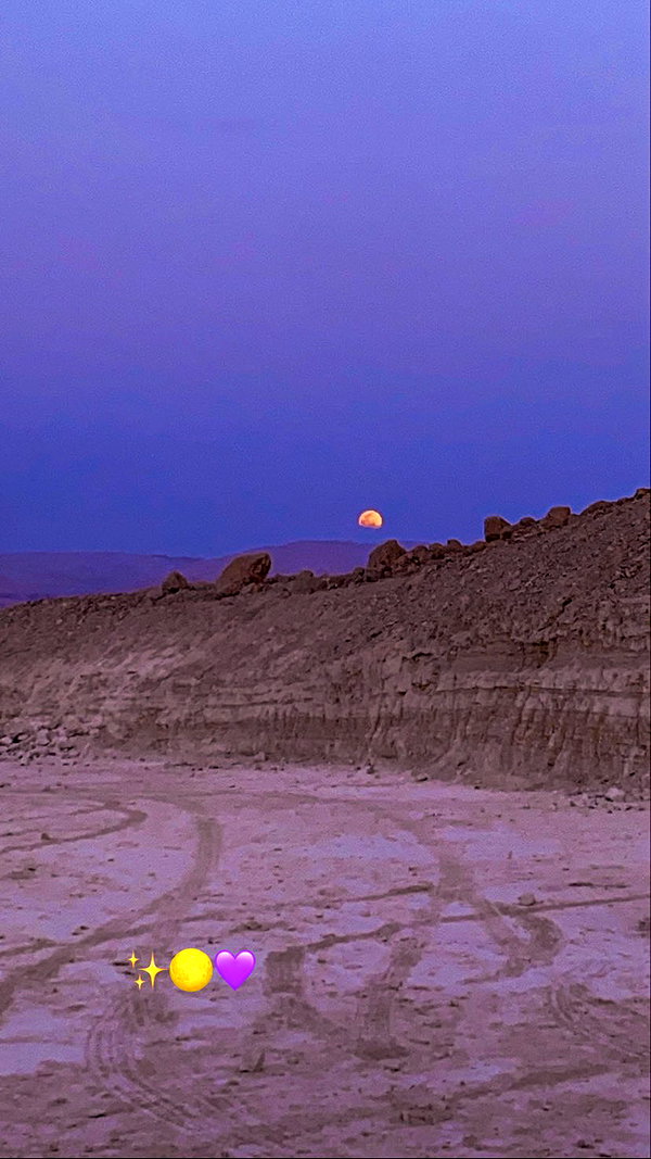 mily8s instagram image archive image
