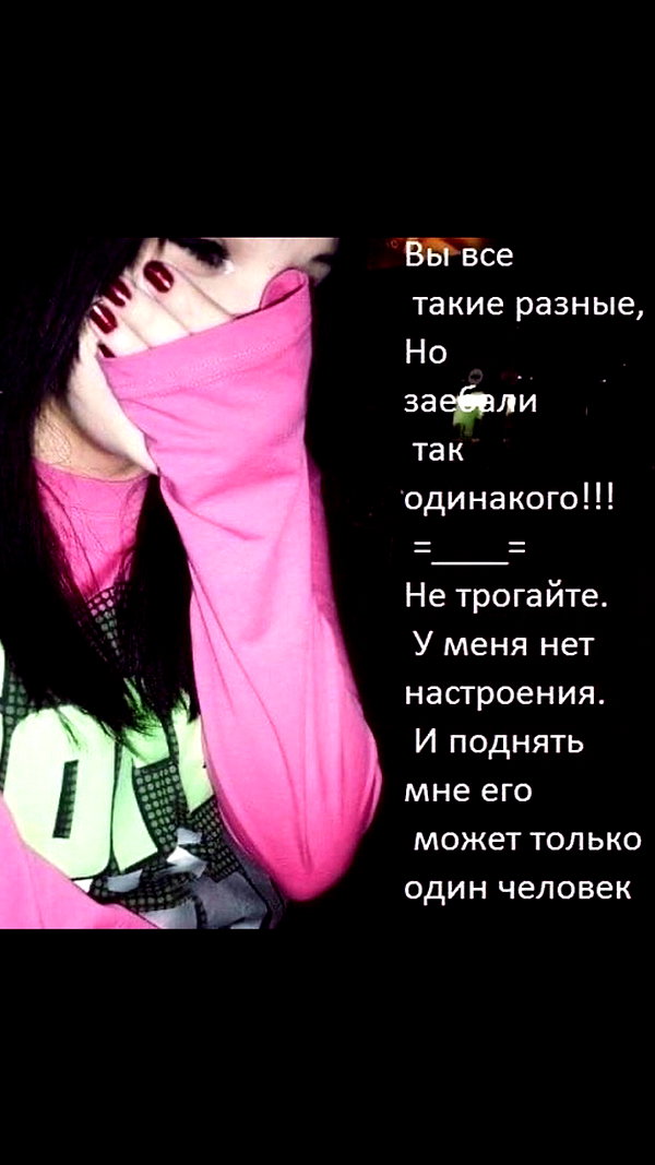 stea0diness instagram image archive image