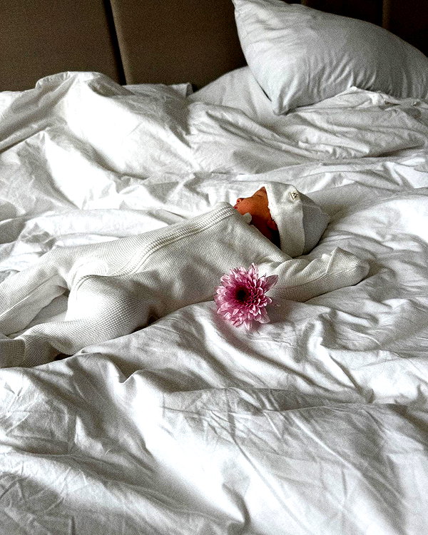 neta_alchimister instagram image archive image
