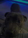 _m_a_y_c_ Altpins Profile Picture