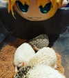 muze Altpins Profile Picture
