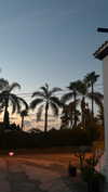 _broock_ Altpins Profile Picture