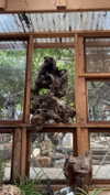 babynympho_archive Altpins Profile Picture