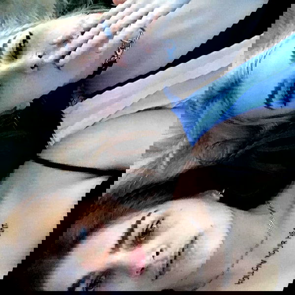 annfigmax image ~ Altpins