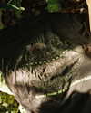 mydriasislive Altpins Profile Picture
