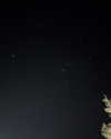darkstar_mia Altpins Profile Picture