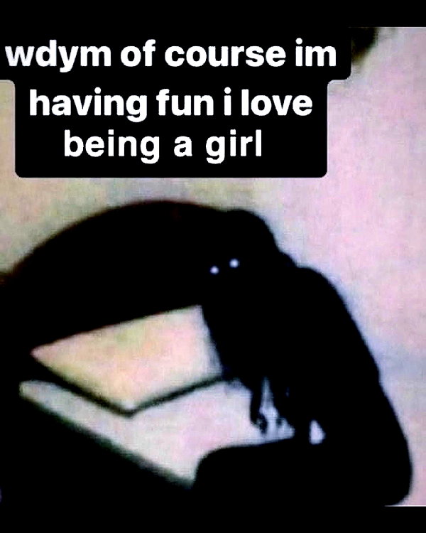 leanbeefpatty instagram image archive image