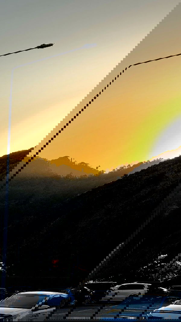 vvvierness vvvierness archive image